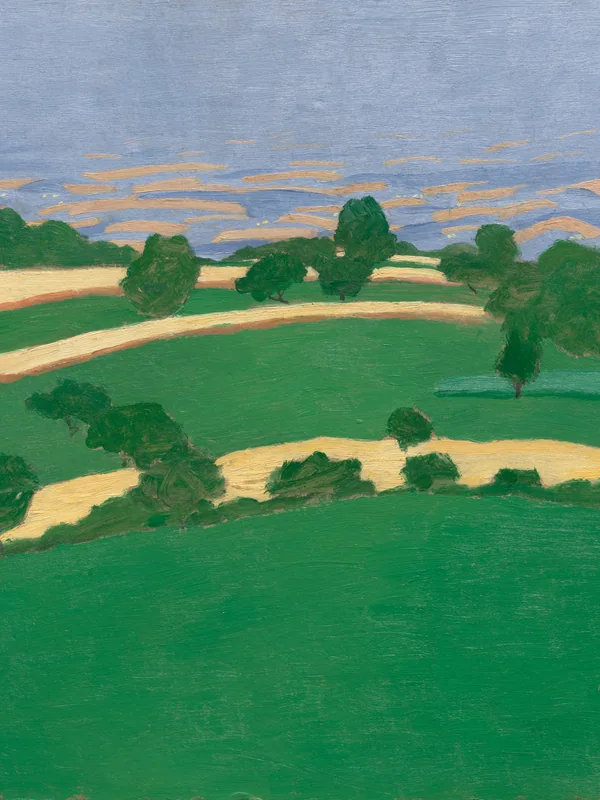 Corn Fields